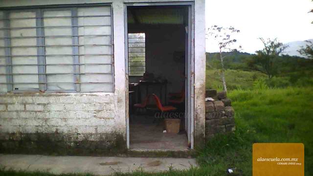 Entrada (vista previa)