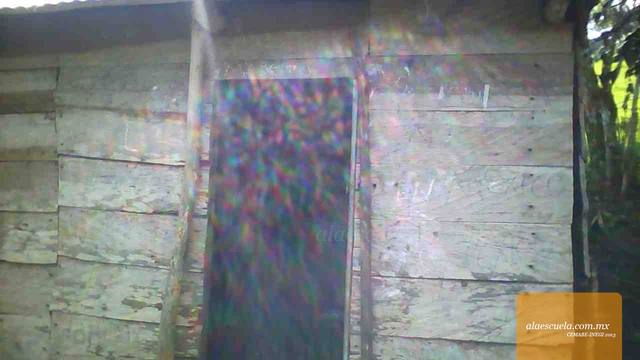 Entrada (vista previa)