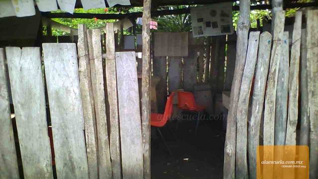 Entrada (vista previa)