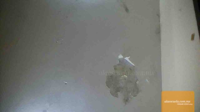 Entrada (vista previa)