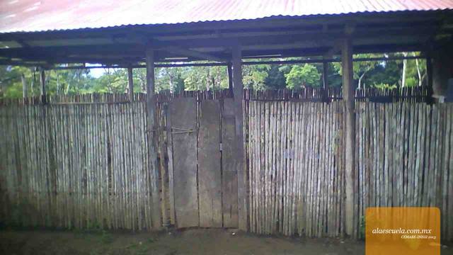 Entrada (vista previa)