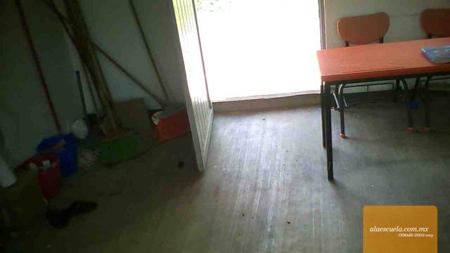 Entrada (vista previa)