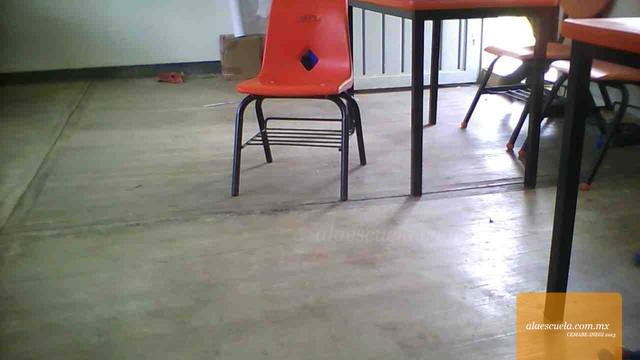 Entrada (vista previa)