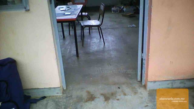 Entrada (vista previa)