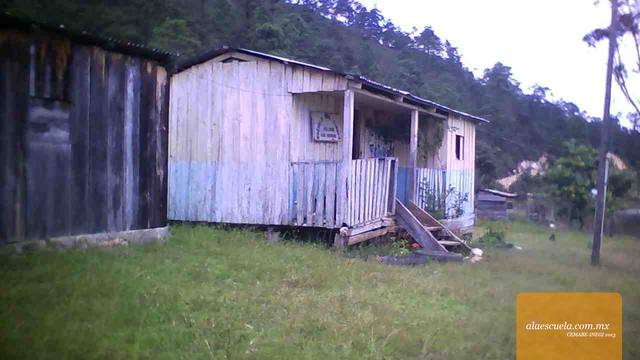 Entrada (vista previa)