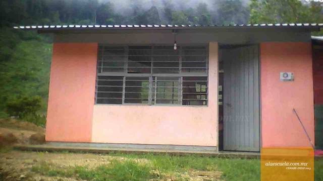 Entrada (vista previa)