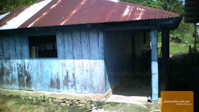 Entrada (vista previa)