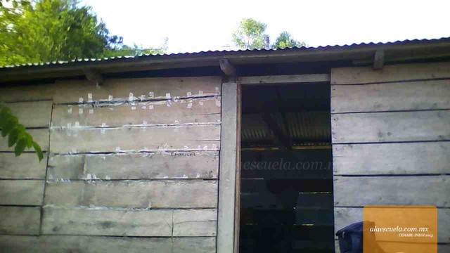 Entrada (vista previa)