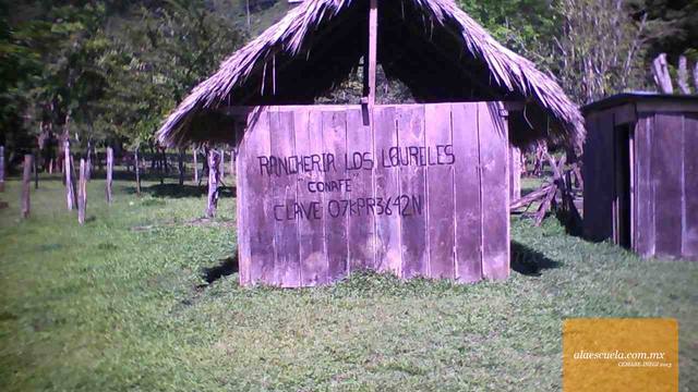 Entrada (vista previa)