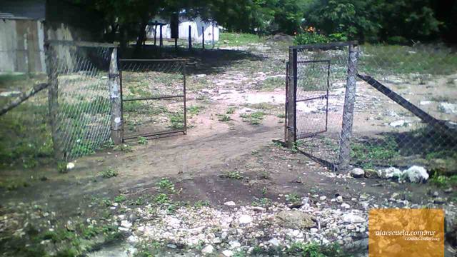 Entrada (vista previa)