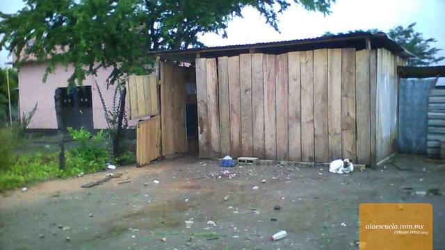 Entrada (vista previa)