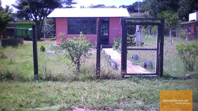 Entrada (vista previa)