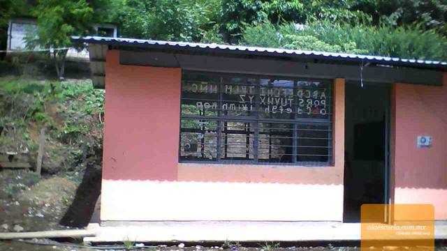 Entrada (vista previa)