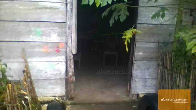 Entrada (vista previa)