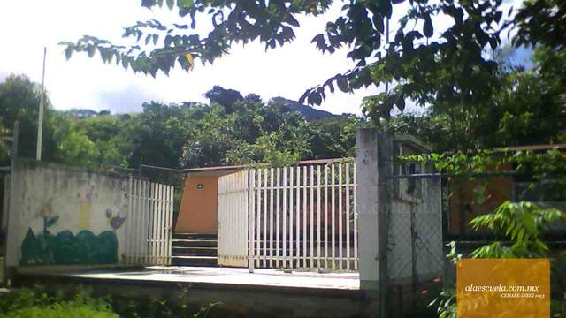 Entrada (vista previa)