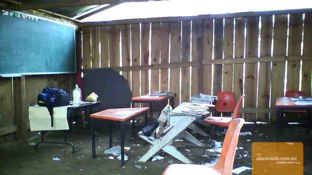 Entrada (vista previa)