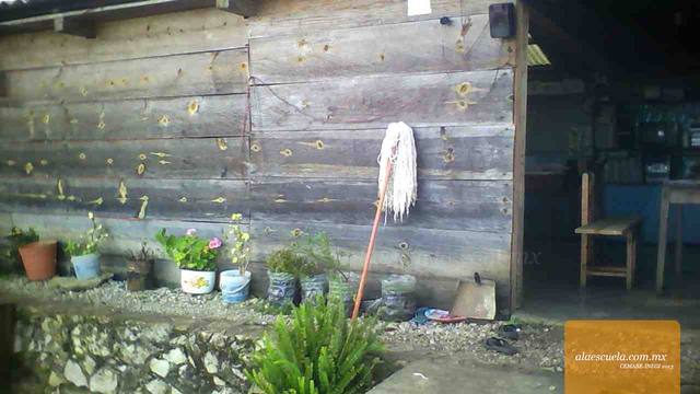 Entrada (vista previa)