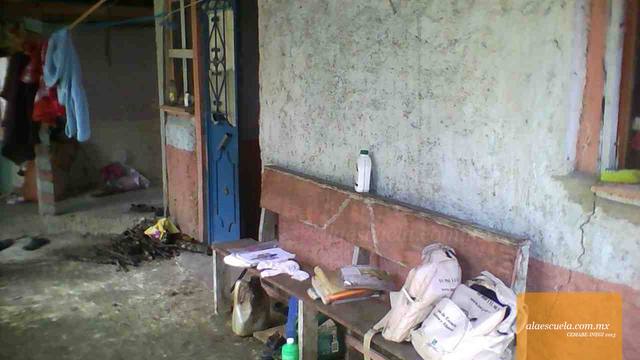 Entrada (vista previa)