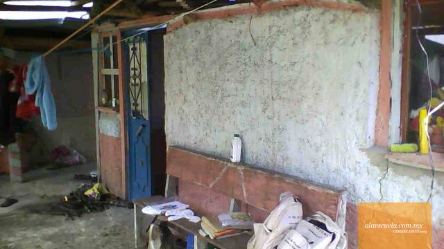 Entrada (vista previa)