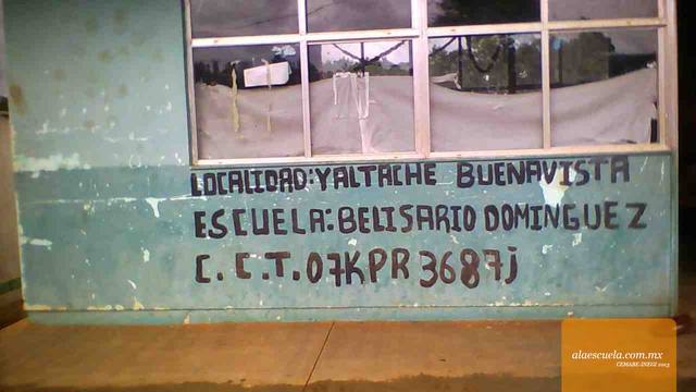 Entrada (vista previa)