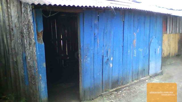 Entrada (vista previa)