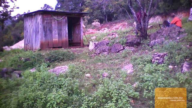 Entrada (vista previa)