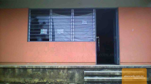 Entrada (vista previa)