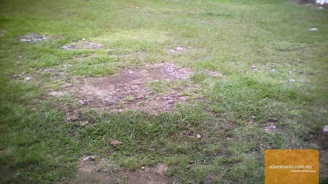 Áreas (vista previa)