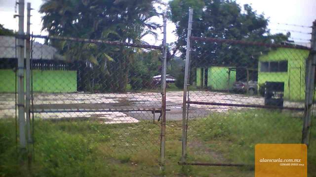 Entrada (vista previa)