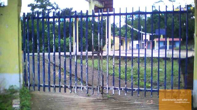 Entrada (vista previa)