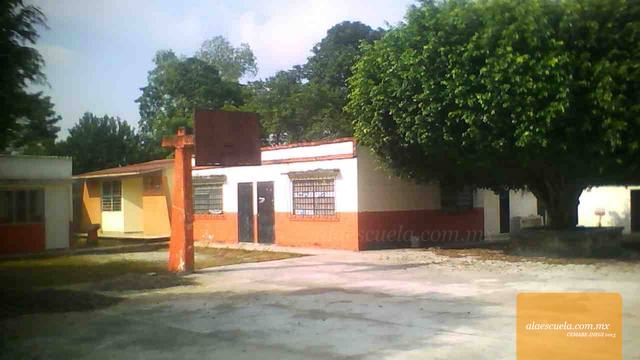 Entrada (vista previa)