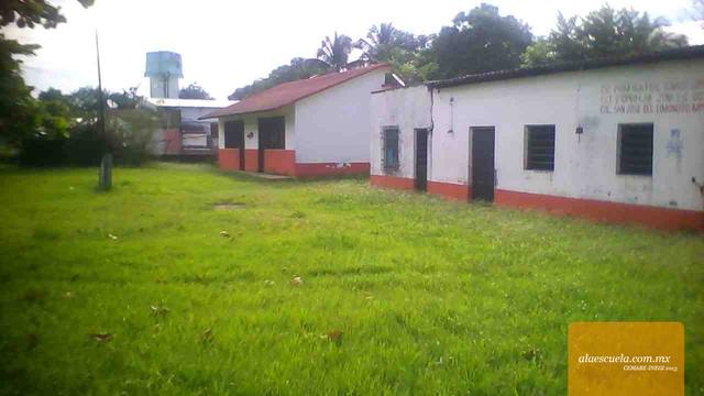 Entrada (vista previa)