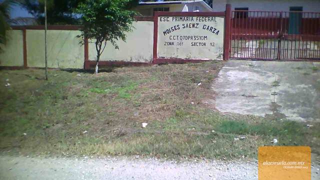 Entrada (vista previa)