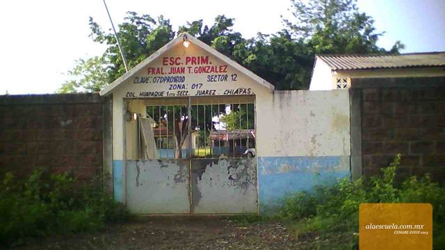 Entrada (vista previa)