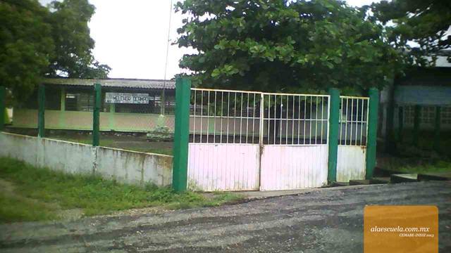 Entrada (vista previa)