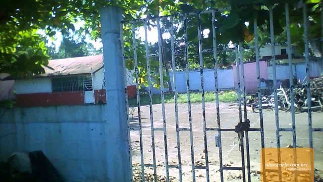 Entrada (vista previa)