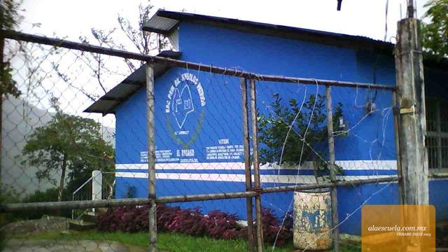 Entrada (vista previa)