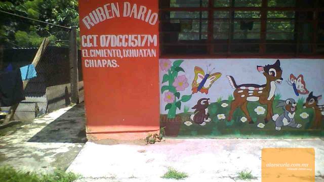 Entrada (vista previa)