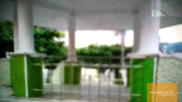 Entrada (vista previa)