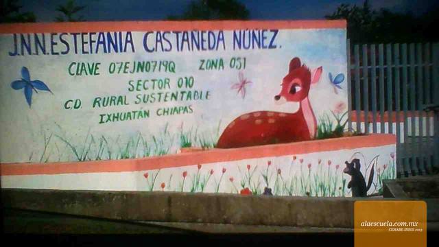 Entrada (vista previa)