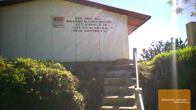 Entrada (vista previa)