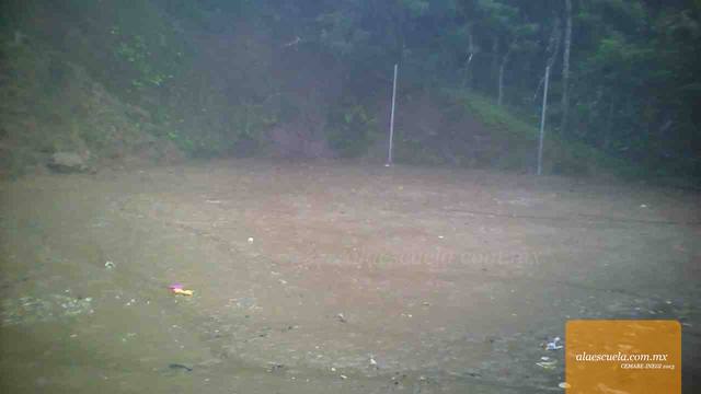 Áreas (vista previa)