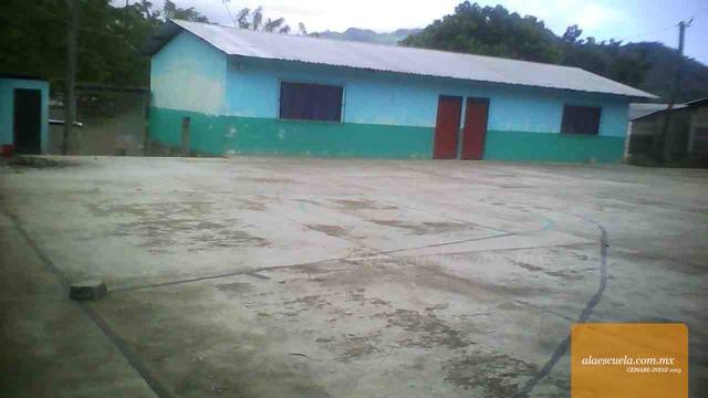 Entrada (vista previa)