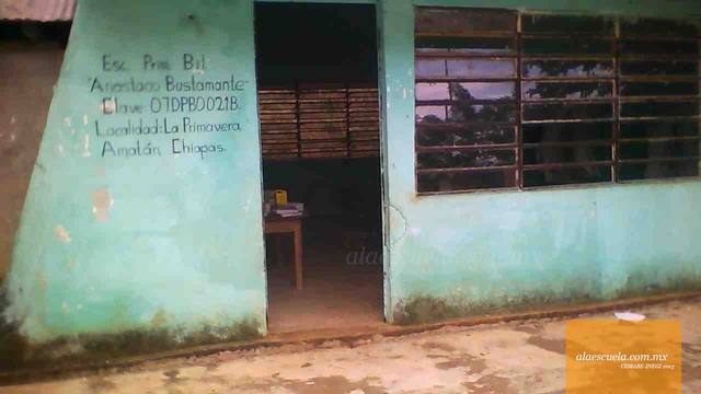 Entrada (vista previa)