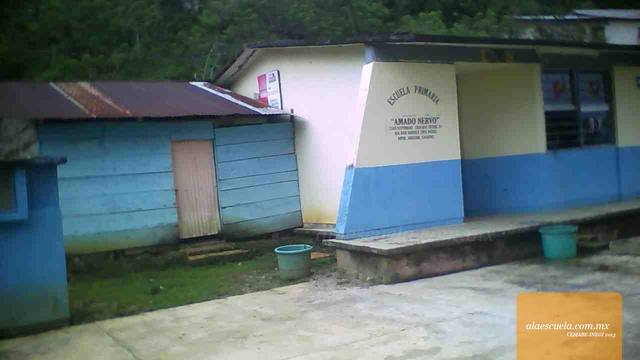 Entrada (vista previa)