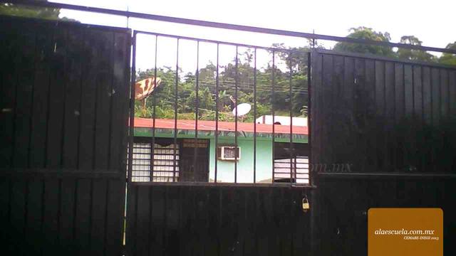 Entrada (vista previa)