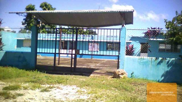 Entrada (vista previa)