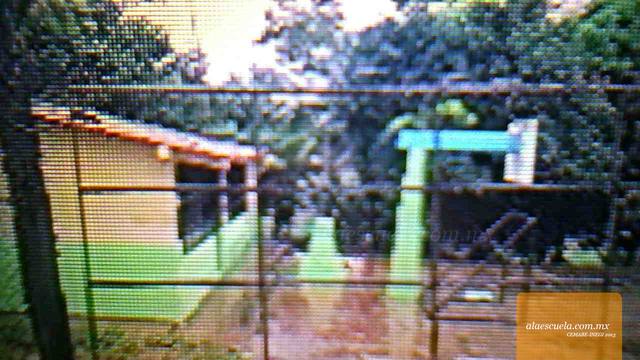 Entrada (vista previa)