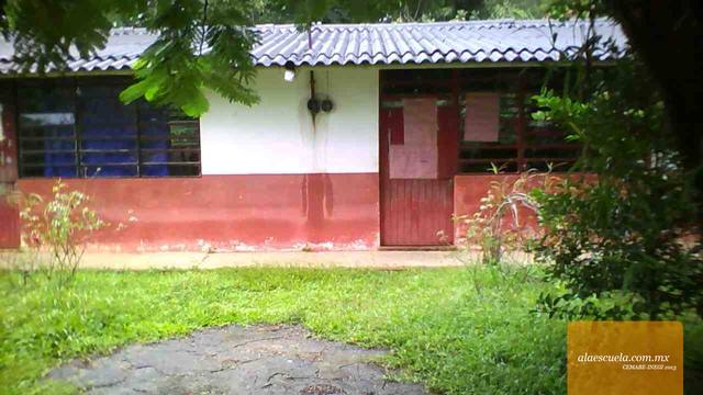 Entrada (vista previa)