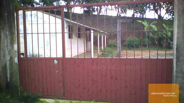 Entrada (vista previa)